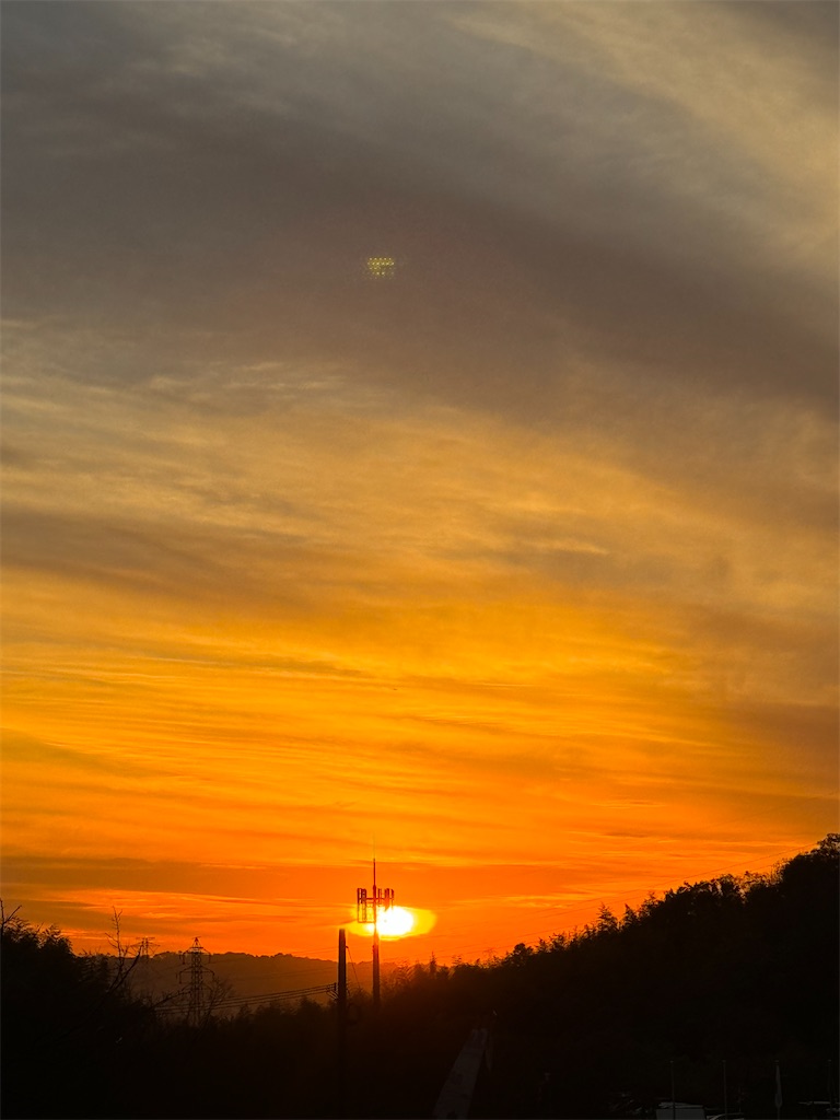 f:id:emi-sk:20231210174749j:image