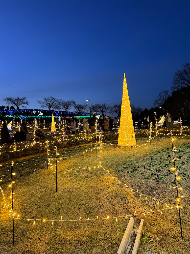 f:id:emi-sk:20231224180428j:image