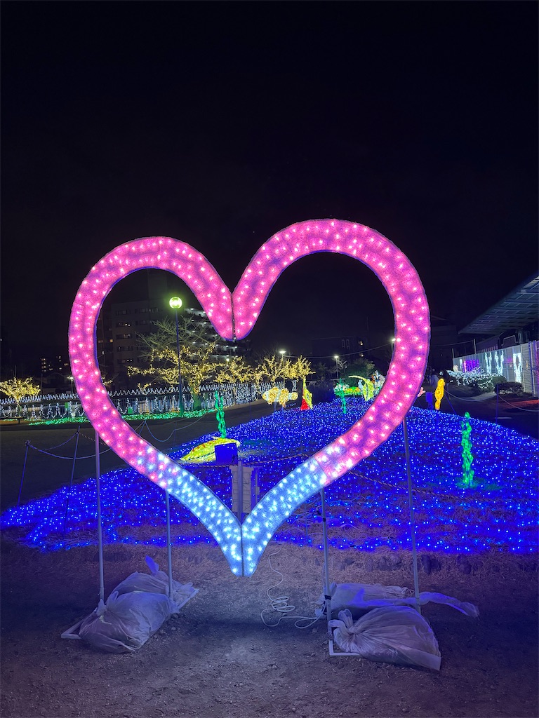 f:id:emi-sk:20240123064822j:image f:id:emi-sk:20240123064822j:image