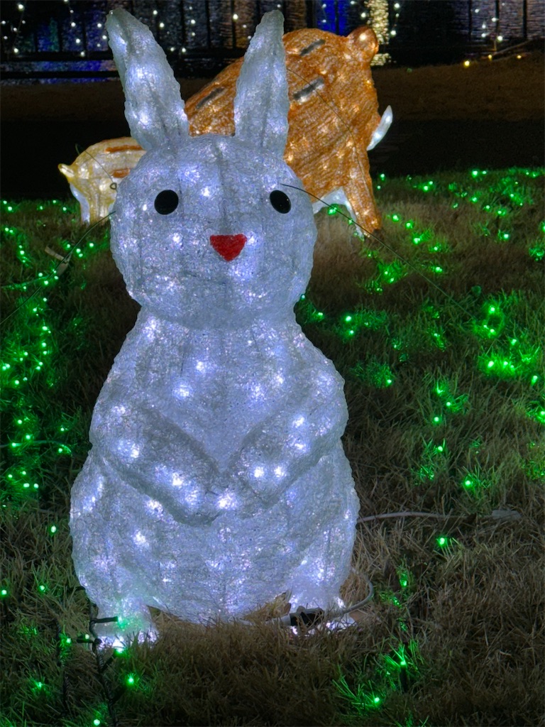 f:id:emi-sk:20240123064926j:image f:id:emi-sk:20240123064926j:image
