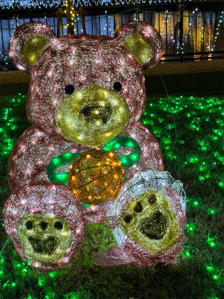 f:id:emi-sk:20240123064943j:image f:id:emi-sk:20240123064943j:image
