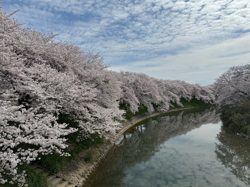 f:id:emi-sk:20240421193823j:image