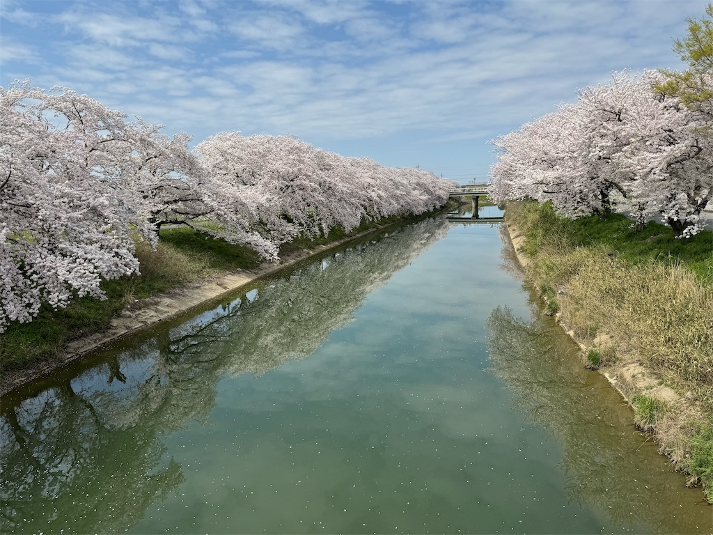 f:id:emi-sk:20240421194135j:image