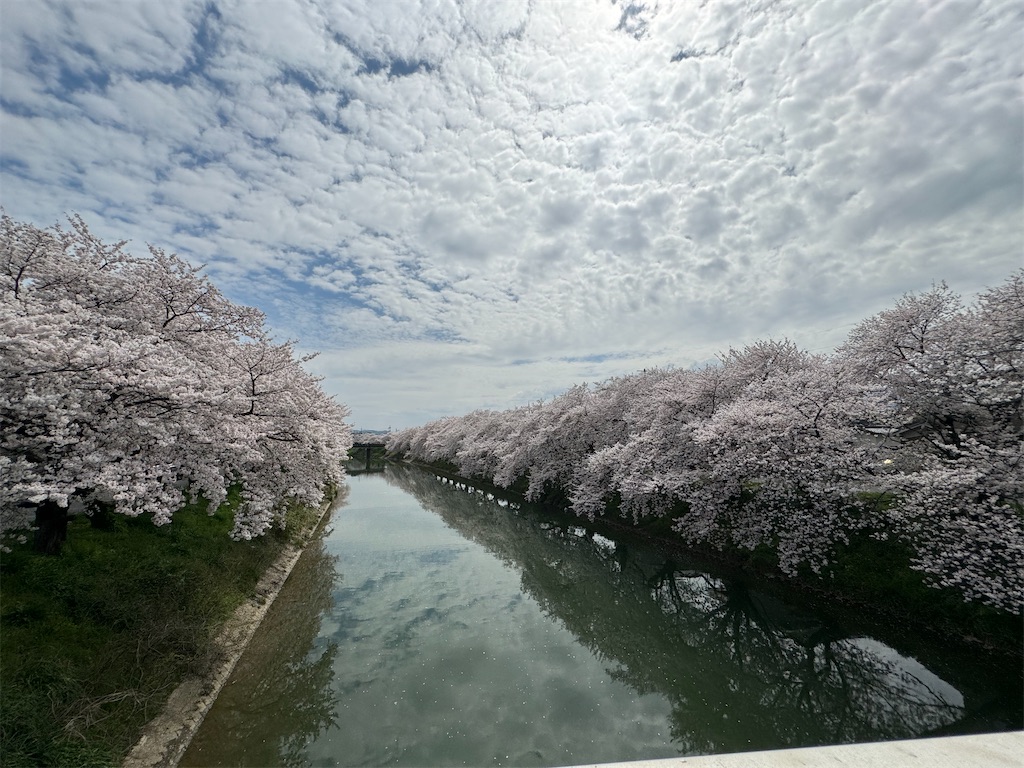f:id:emi-sk:20240421194407j:image