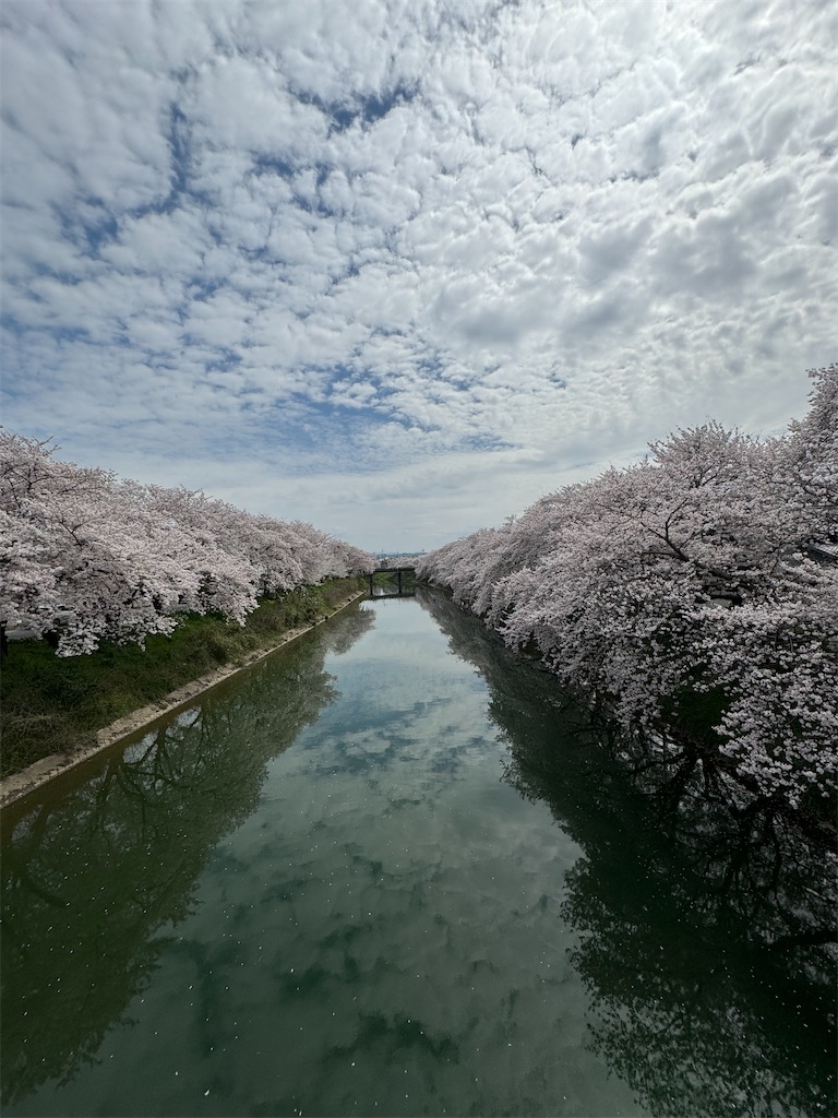 f:id:emi-sk:20240422061321j:image