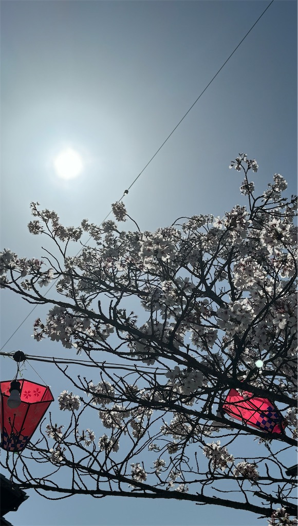 f:id:emi-sk:20240430060012j:image