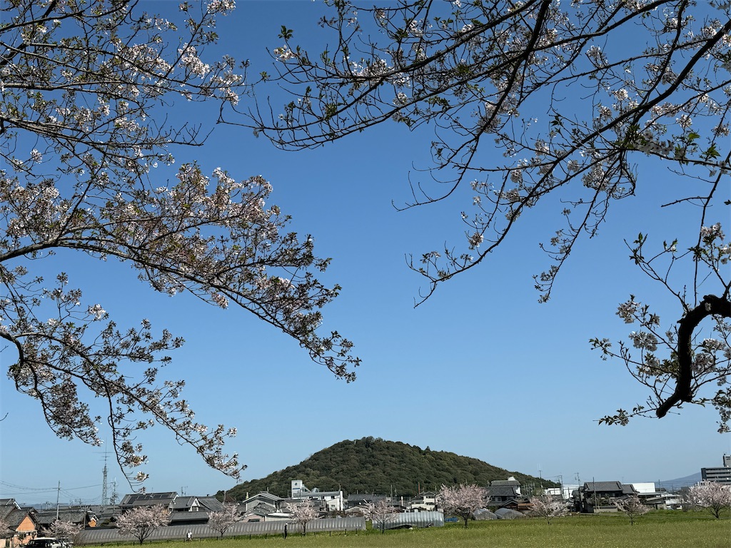 f:id:emi-sk:20240430061243j:image
