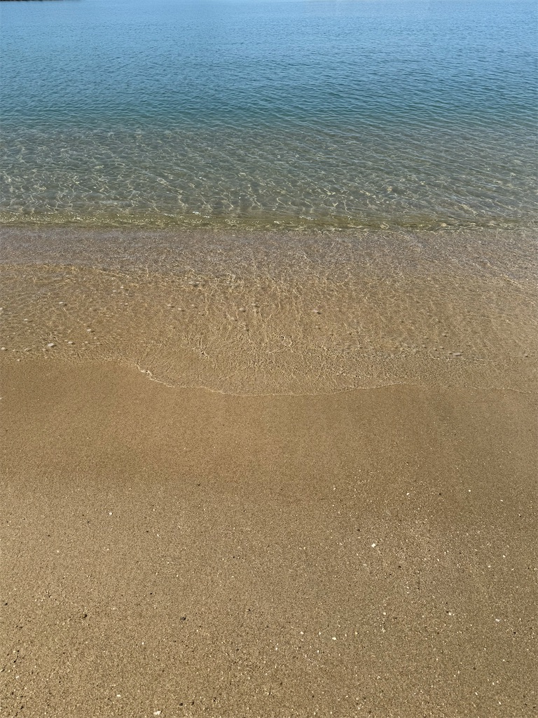 f:id:emi-sk:20240508055116j:image