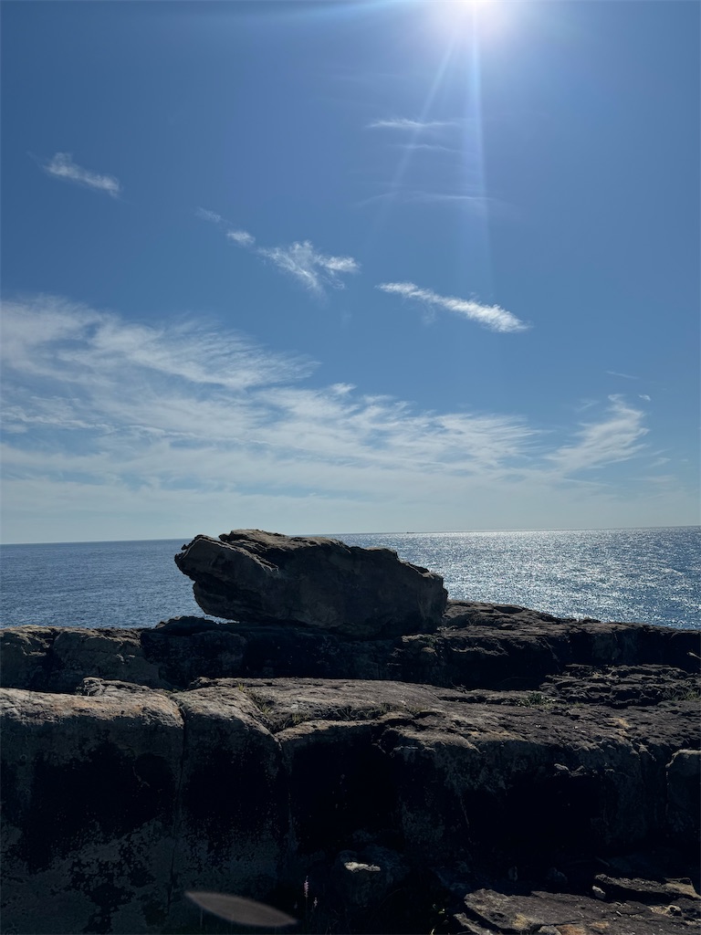 f:id:emi-sk:20241012193726j:image