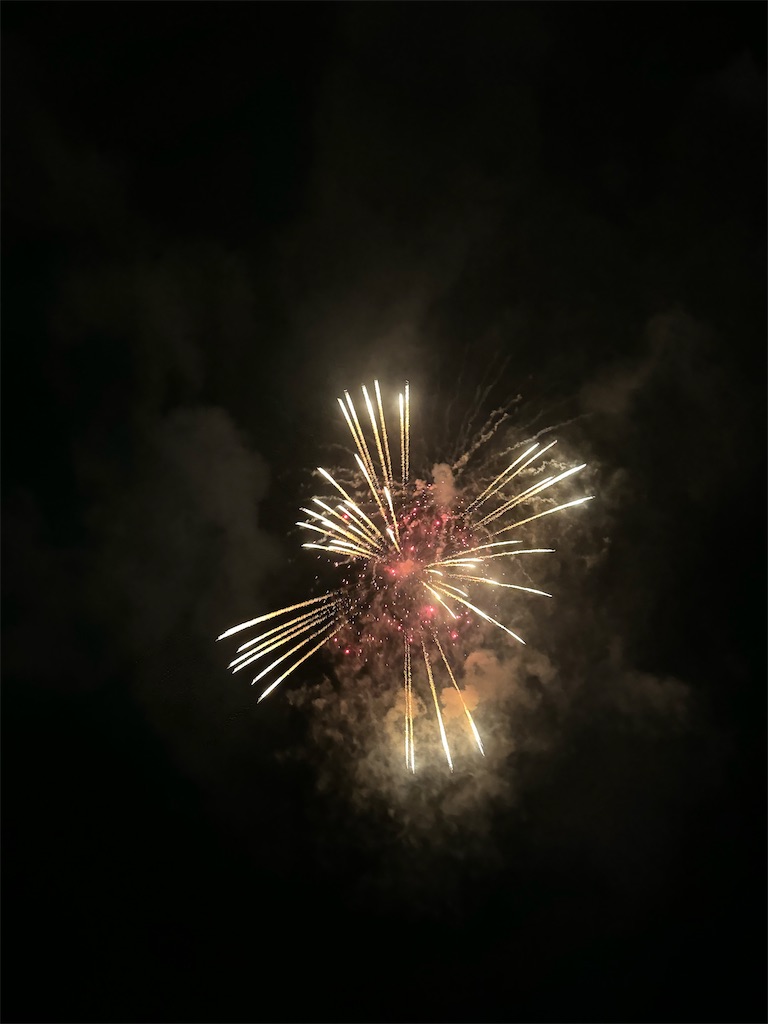 f:id:emi-sk:20241105062229j:image