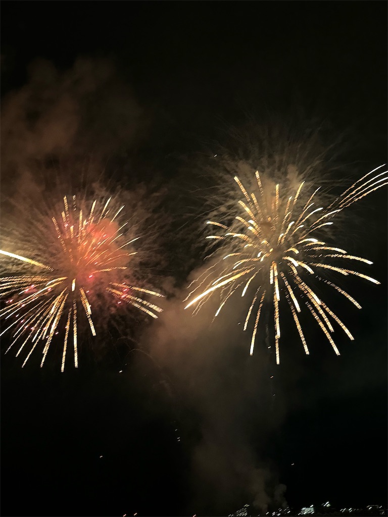 f:id:emi-sk:20241105062618j:image