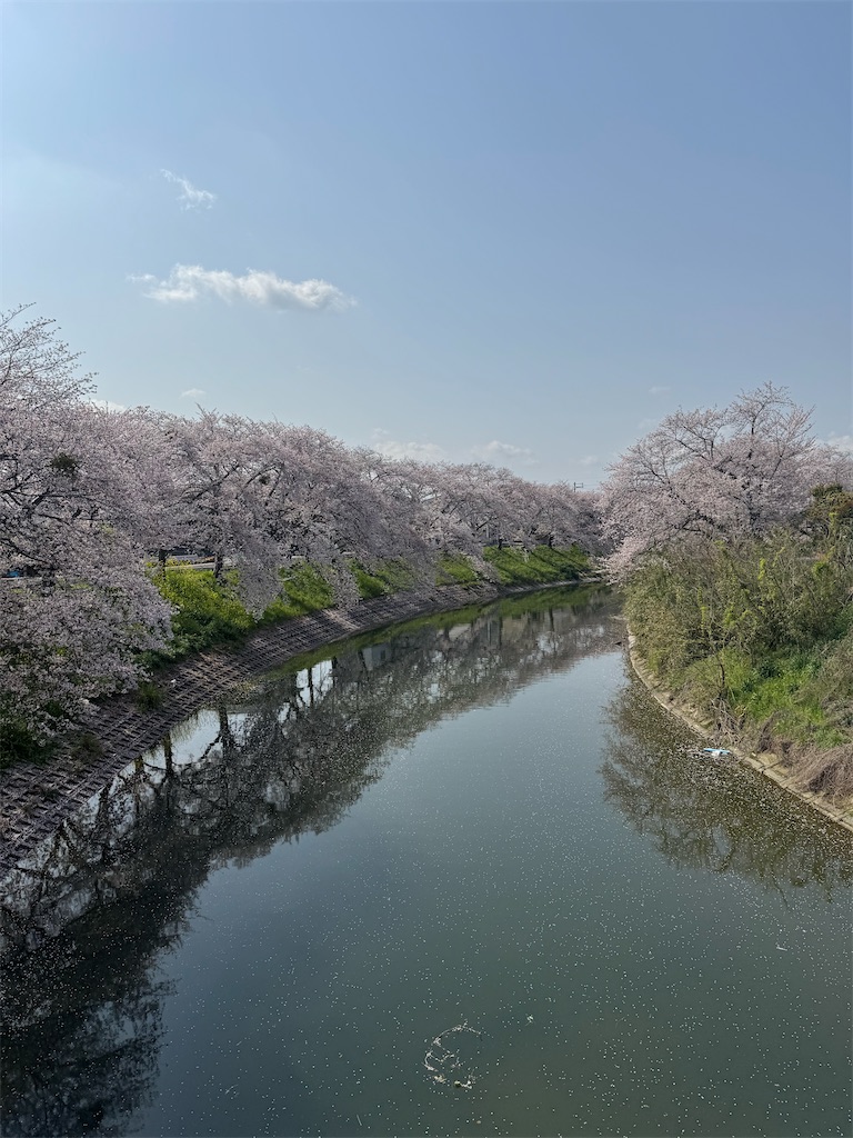f:id:emi-sk:20250416193816j:image
