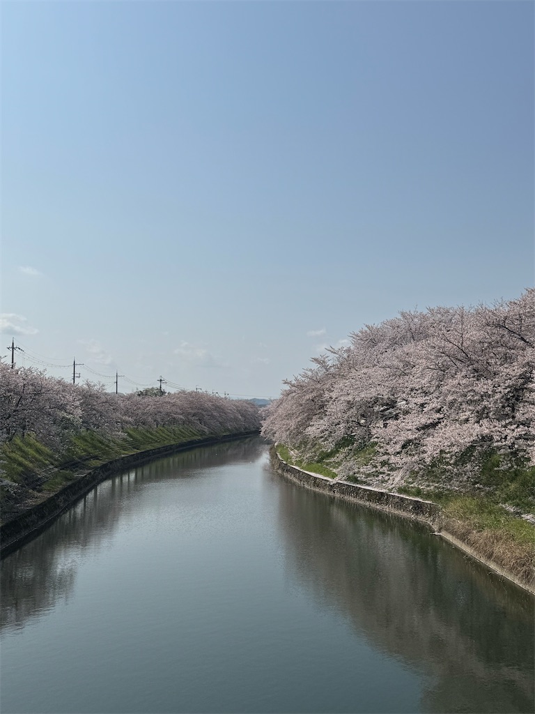 f:id:emi-sk:20250417085355j:image