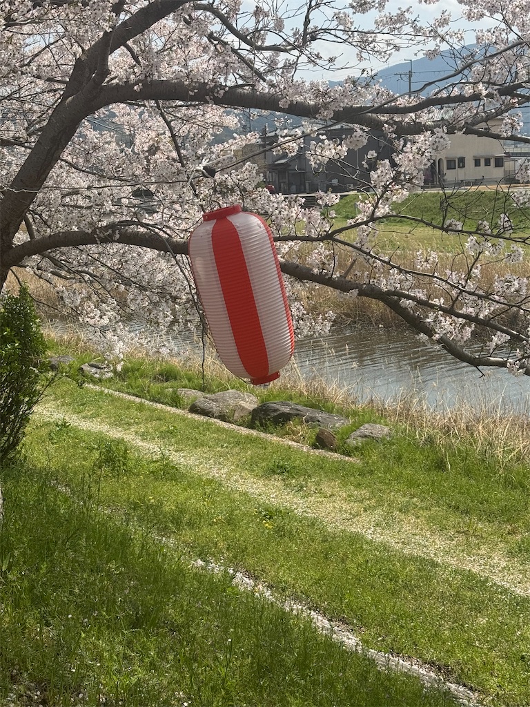 f:id:emi-sk:20250422075213j:image