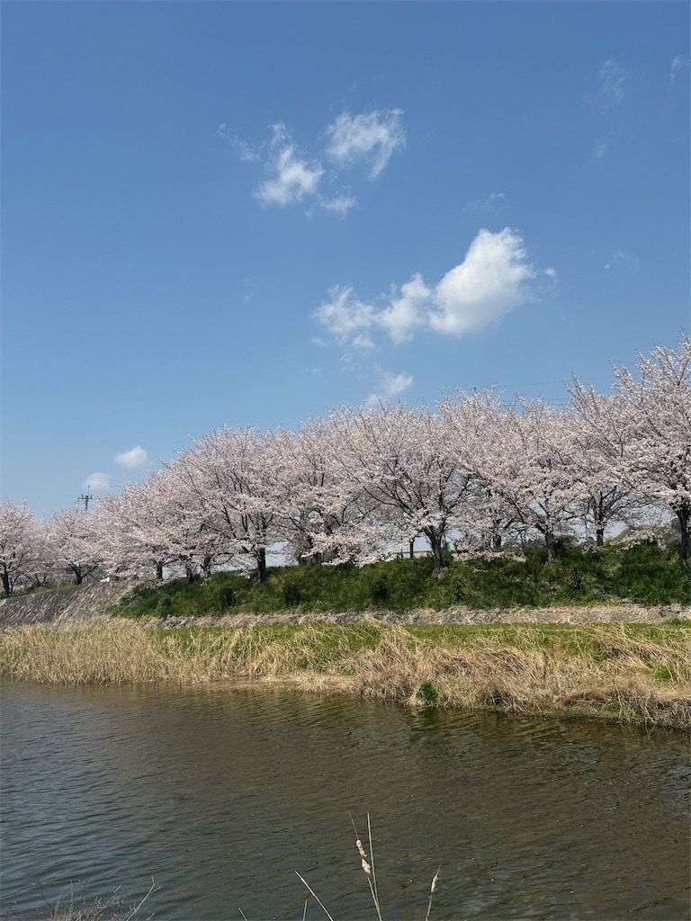 f:id:emi-sk:20250428080024j:image
