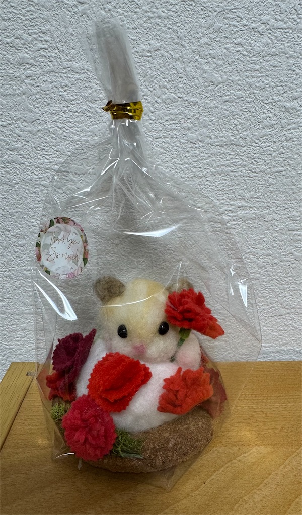 f:id:emi-sk:20250510194340j:image
