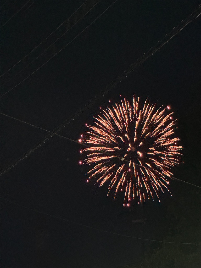 f:id:emi-sk:20250901071535j:image