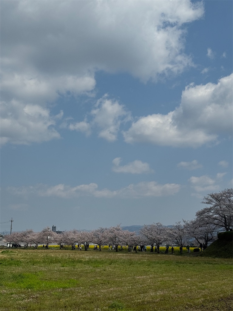 f:id:emi-sk:20260417072157j:image