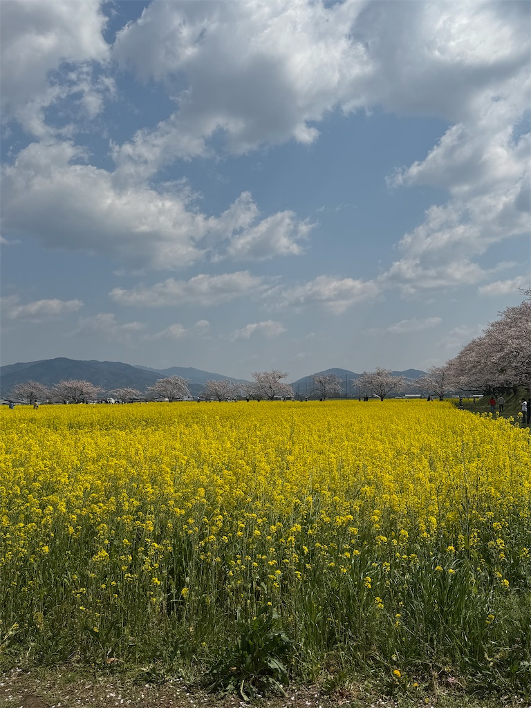 f:id:emi-sk:20260417072209j:image
