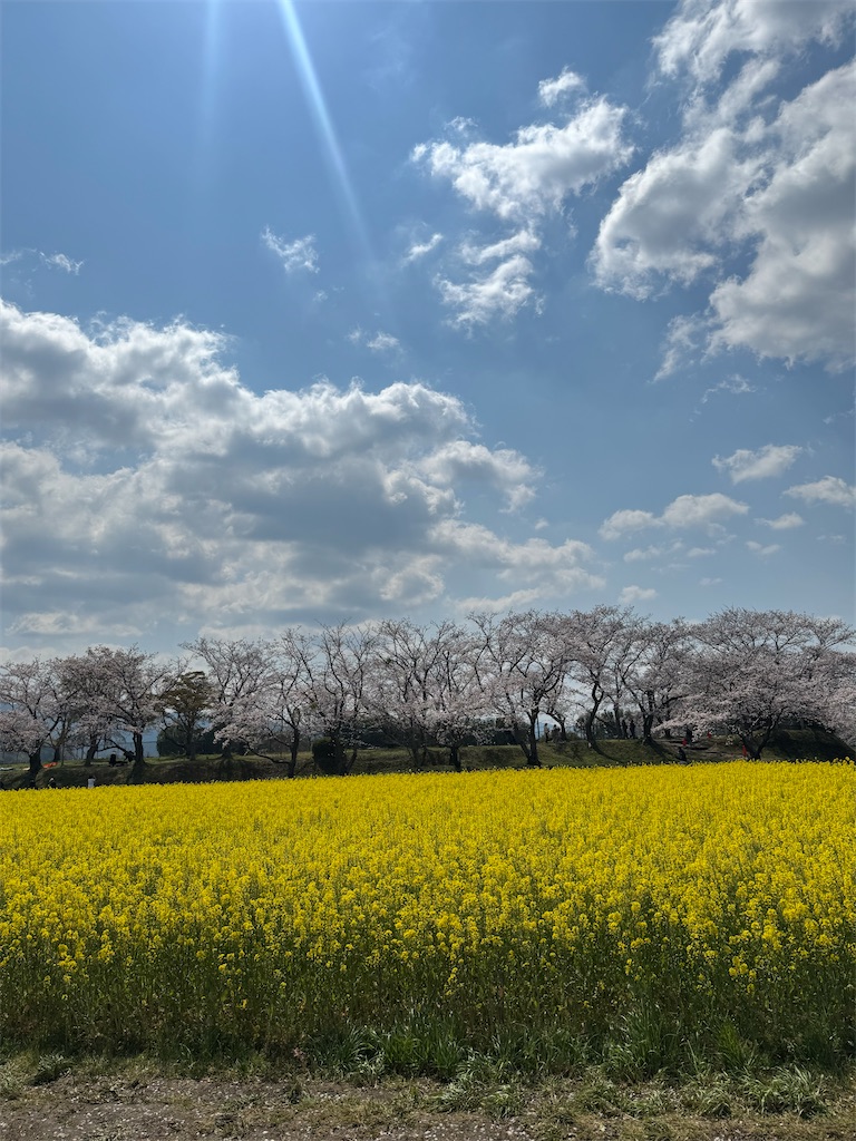 f:id:emi-sk:20260417072227j:image