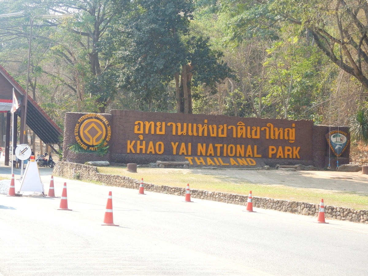 f:id:emi13_farout:20201112185137j:plain f:id:emi13_farout:20201112185137j:plain