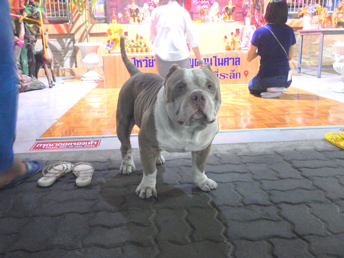 f:id:emi13_farout:20210131145624j:plain