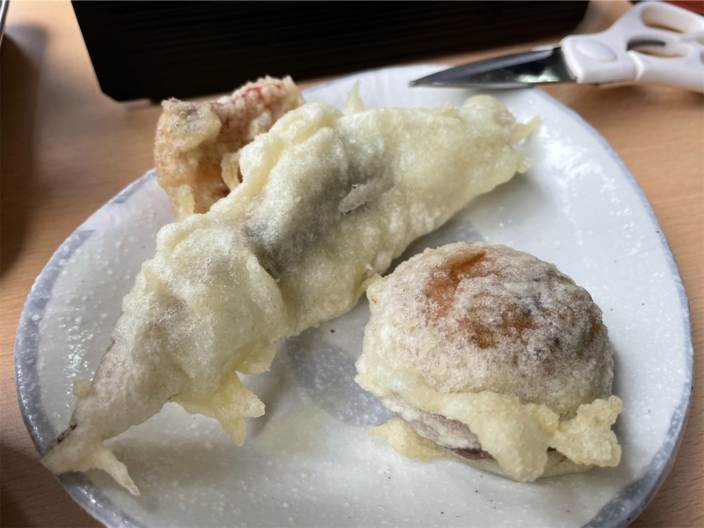 f:id:emi_torinomiya:20230315104544j:image