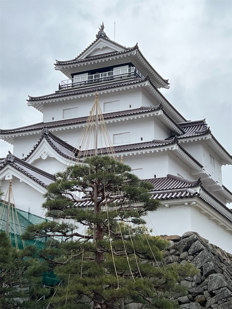 f:id:emi_torinomiya:20230315105135j:image