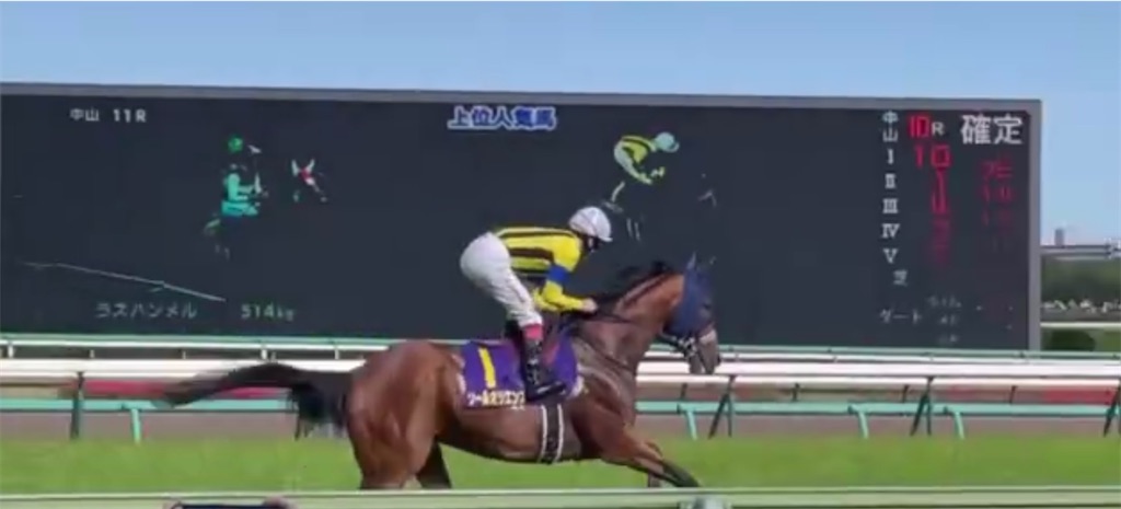 f:id:emi_torinomiya:20230416222834j:image