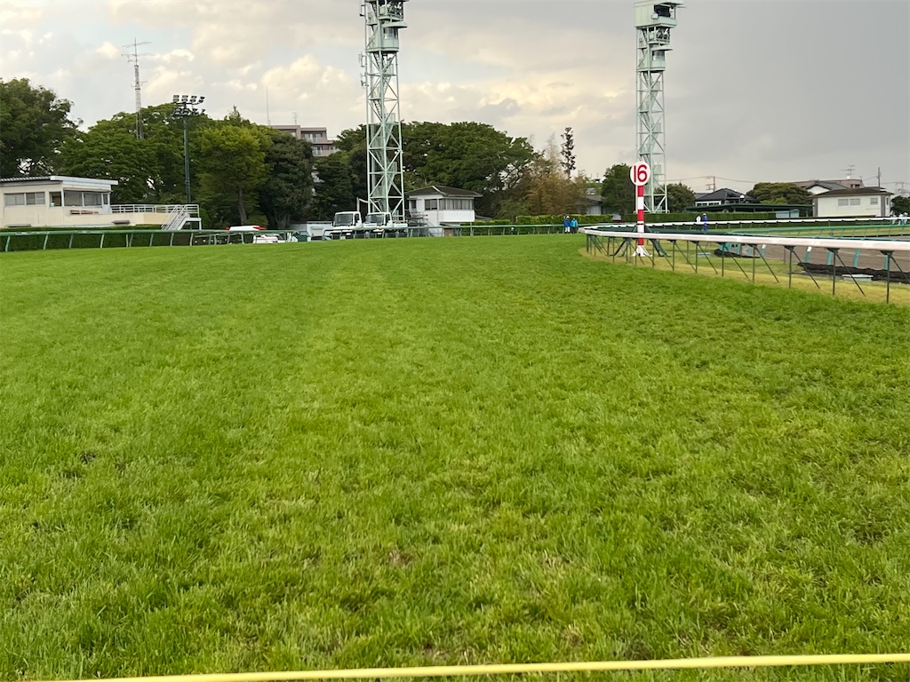 f:id:emi_torinomiya:20230416223432j:image