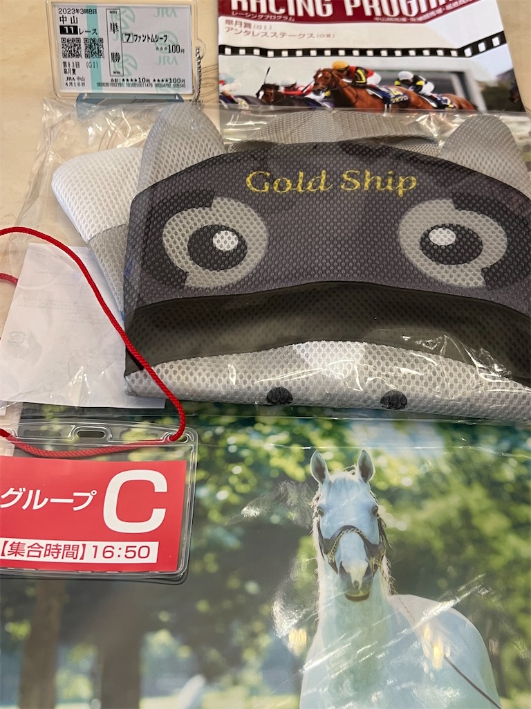 f:id:emi_torinomiya:20230416223544j:image