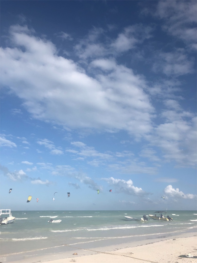 f:id:emicco_p:20190115065221j:image f:id:emicco_p:20190115065221j:image