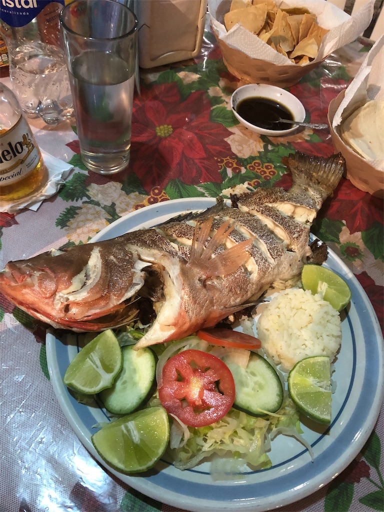 f:id:emicco_p:20190115065957j:image f:id:emicco_p:20190115065957j:image