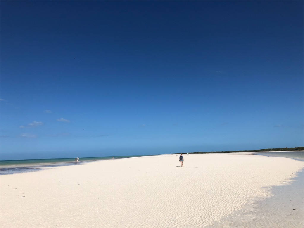 f:id:emicco_p:20190115070357j:image f:id:emicco_p:20190115070357j:image