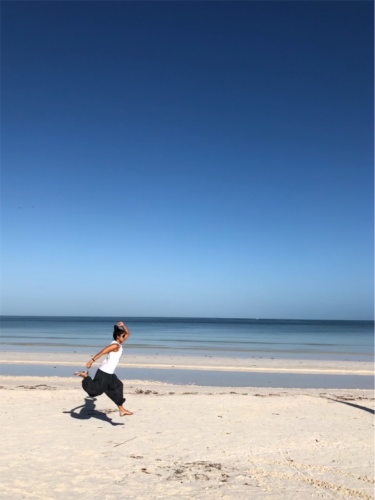 f:id:emicco_p:20190115070408j:image f:id:emicco_p:20190115070408j:image