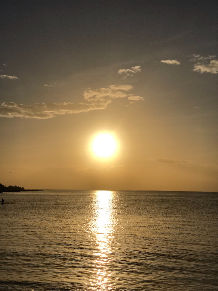 f:id:emicco_p:20190115070423j:image f:id:emicco_p:20190115070423j:image