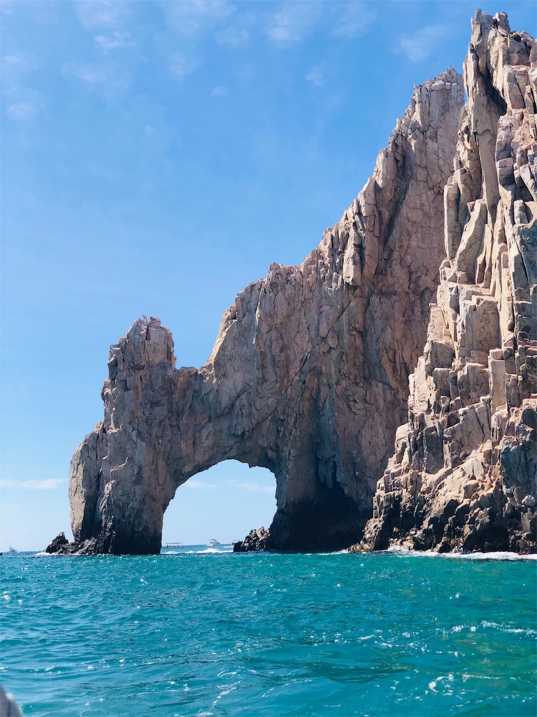 f:id:emicco_p:20190209230356j:image f:id:emicco_p:20190209230356j:image