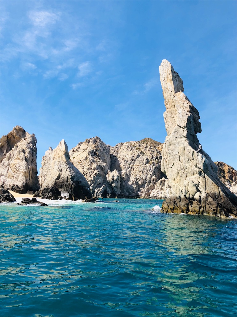 f:id:emicco_p:20190209230405j:image f:id:emicco_p:20190209230405j:image