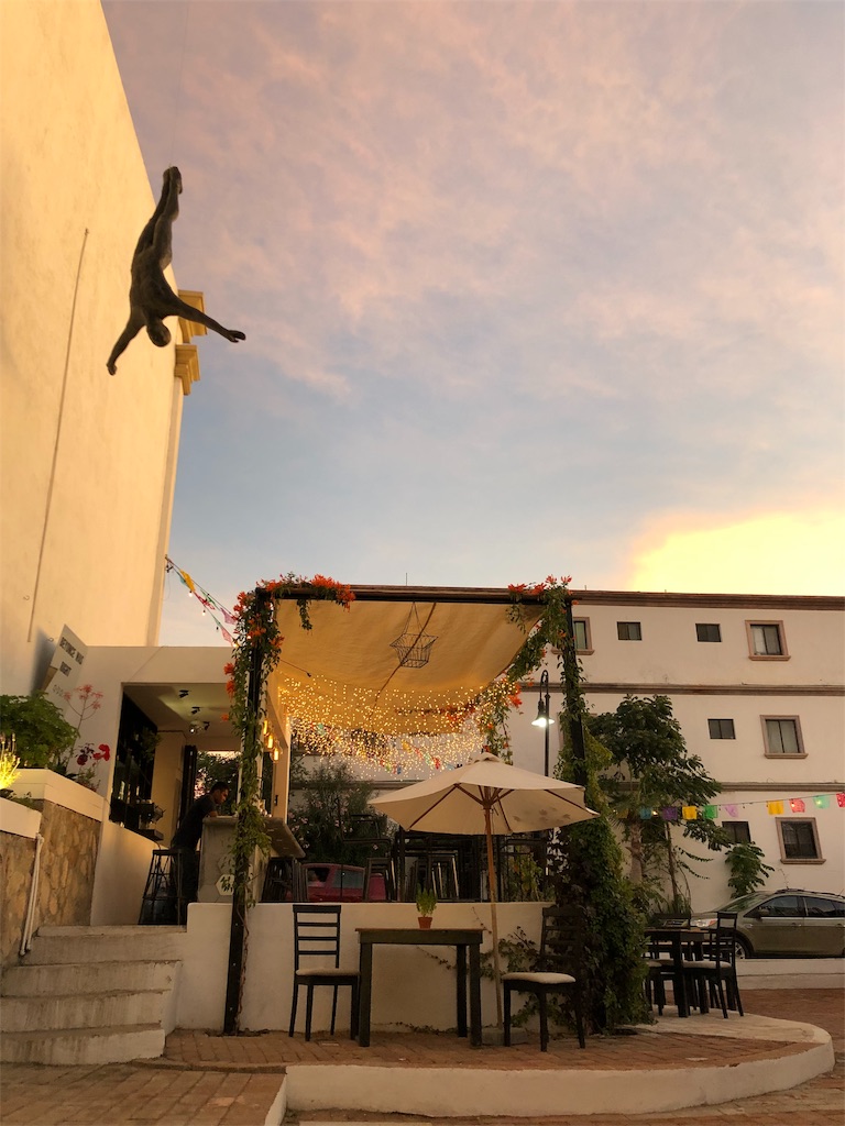 f:id:emicco_p:20190209230530j:image f:id:emicco_p:20190209230530j:image