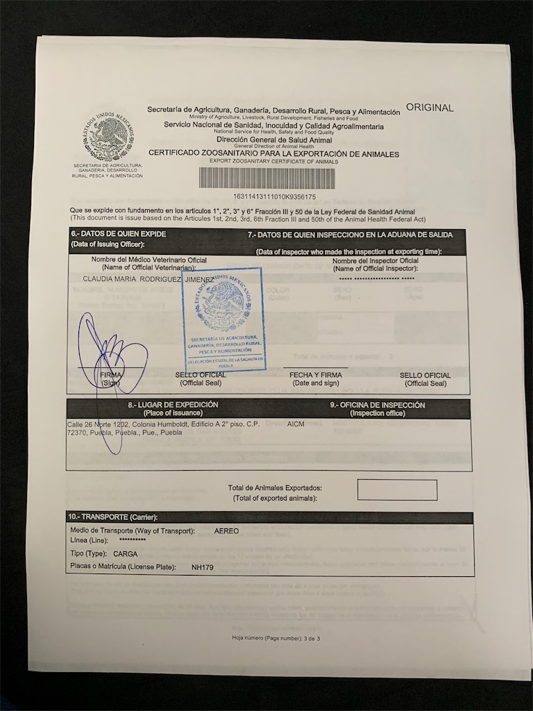 f:id:emicco_p:20190820113915j:image f:id:emicco_p:20190820113915j:image