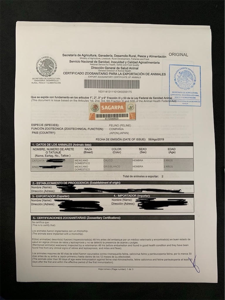 f:id:emicco_p:20190821083926j:image f:id:emicco_p:20190821083926j:image