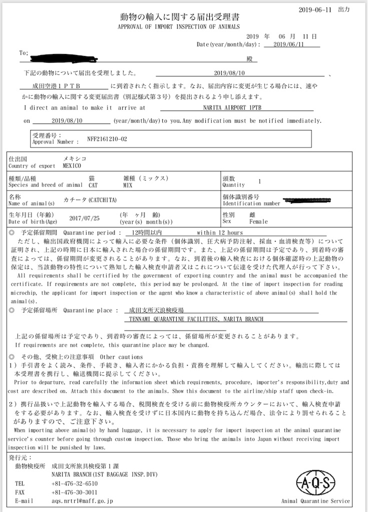 f:id:emicco_p:20190821084059j:image f:id:emicco_p:20190821084059j:image