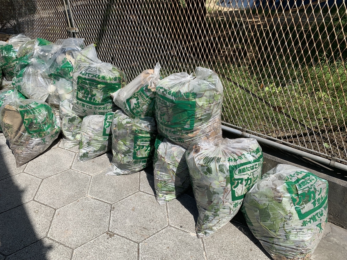 f:id:emichikatu:20191002151418j:plain
