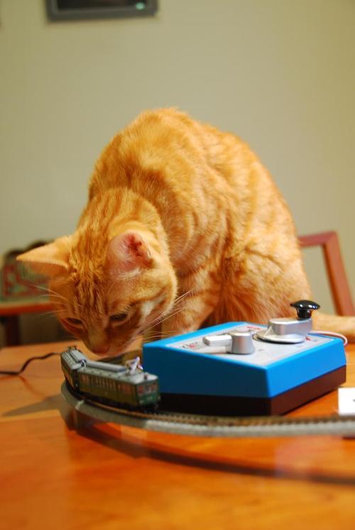 f:id:emija:20060929234933j:plain