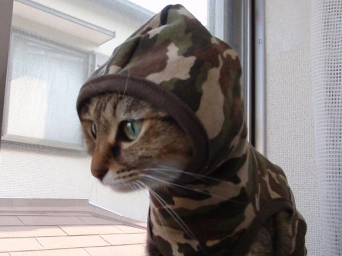 f:id:emija:20100318145234j:plain f:id:emija:20100318145234j:plain