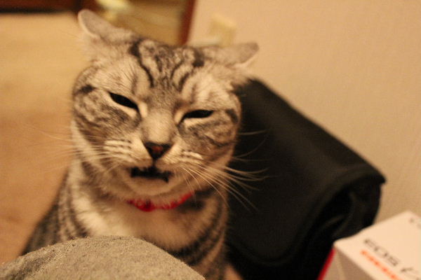 f:id:emija:20100418025744j:plain