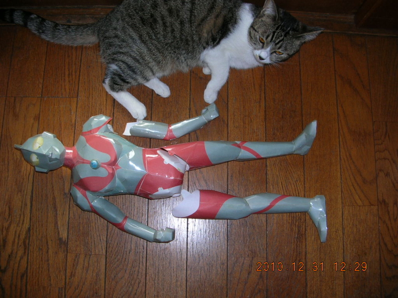 f:id:emija:20101231122926j:plain