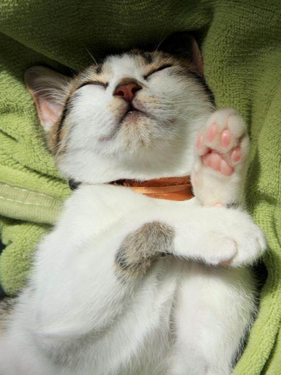 f:id:emija:20110923103633j:plain f:id:emija:20110923103633j:plain