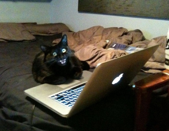 f:id:emija:20140209160025j:plain