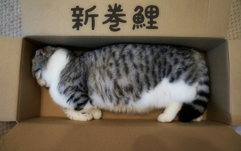 f:id:emija:20140504022231j:plain f:id:emija:20140504022231j:plain